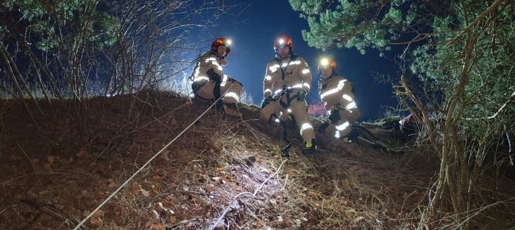 Owca uwięziona na skałach