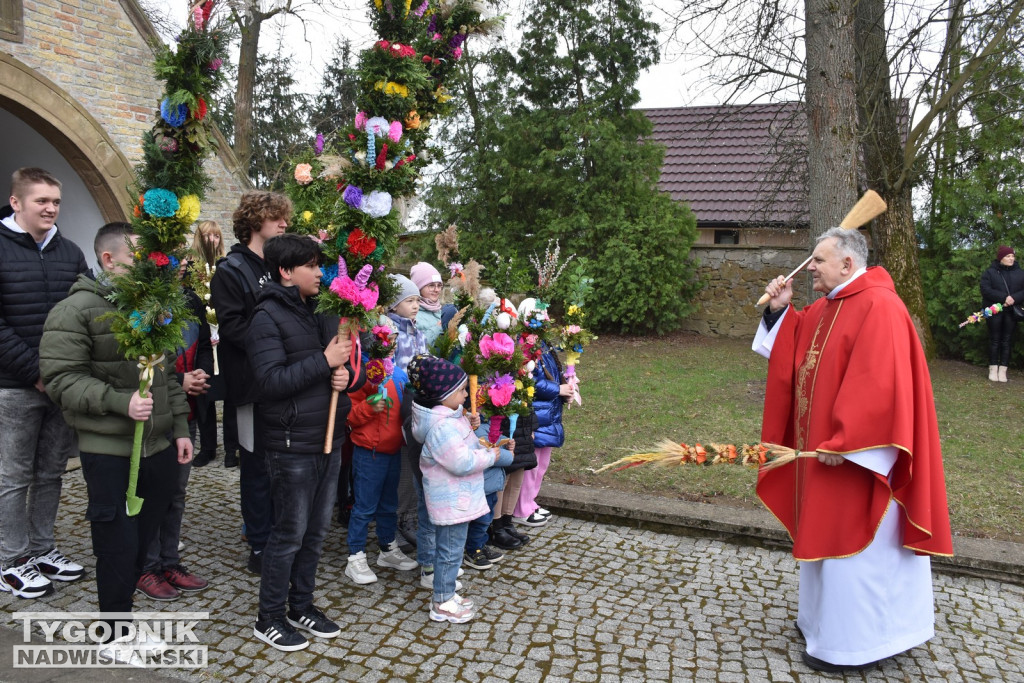 Niedziela Palmowa w Ossolinie
