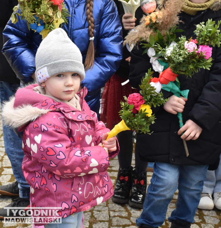 Niedziela Palmowa w Ossolinie