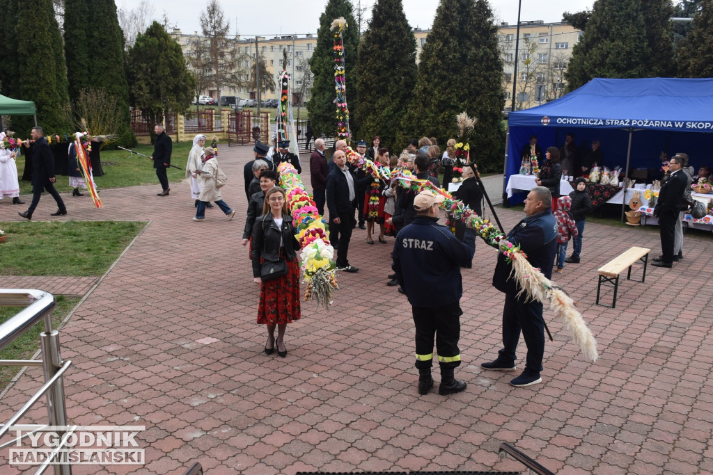 Konkurs Palm w Skopaniu