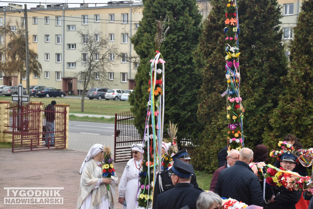 Konkurs Palm w Skopaniu