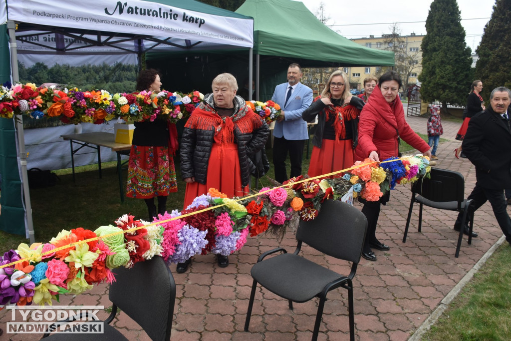 Konkurs Palm w Skopaniu