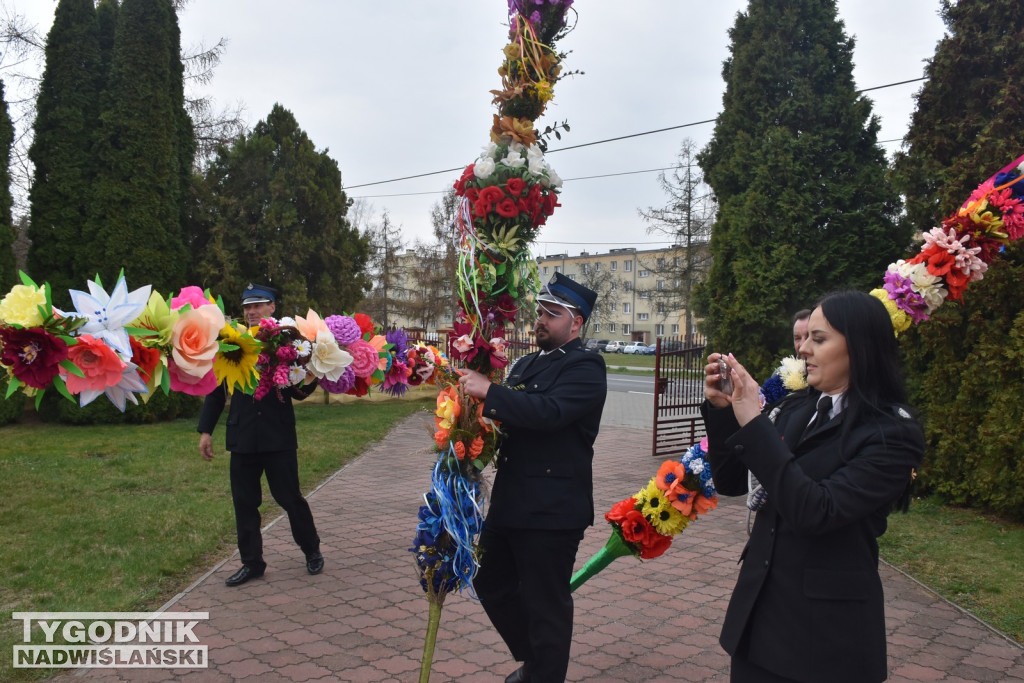 Konkurs Palm w Skopaniu