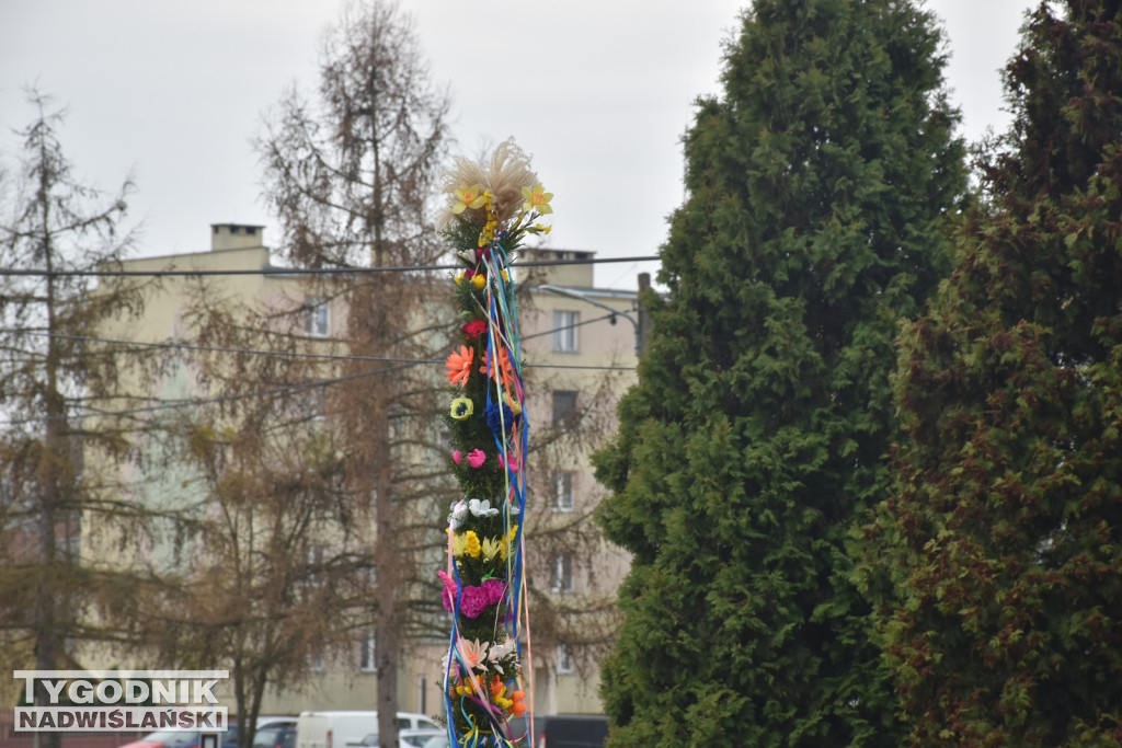 Konkurs Palm w Skopaniu
