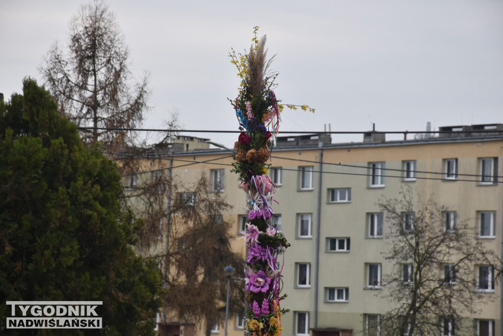 Konkurs Palm w Skopaniu