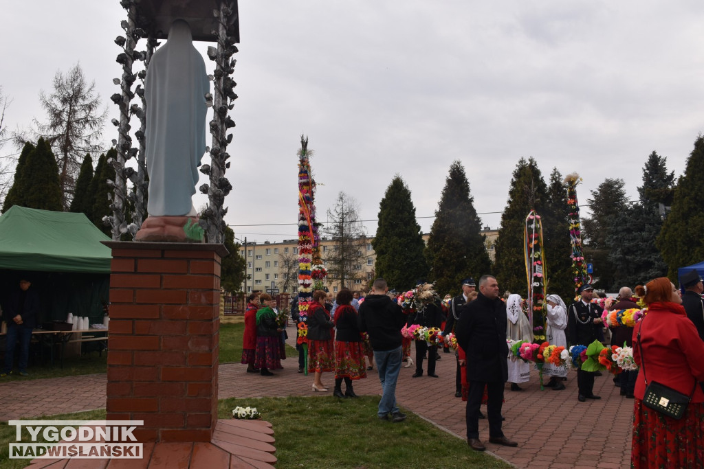 Konkurs Palm w Skopaniu