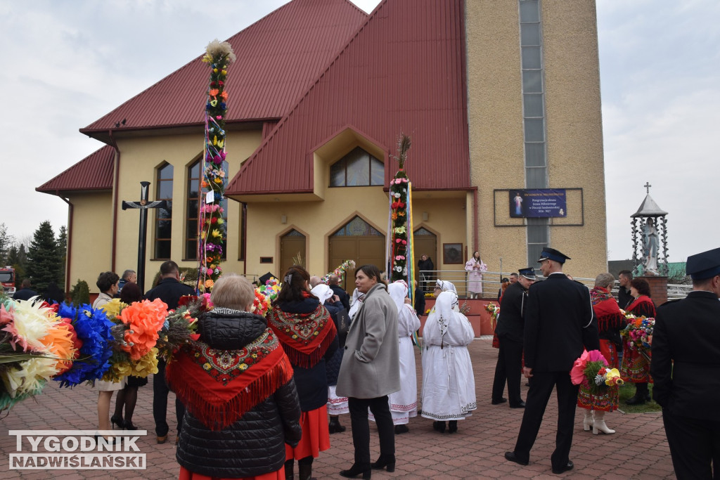 Konkurs Palm w Skopaniu