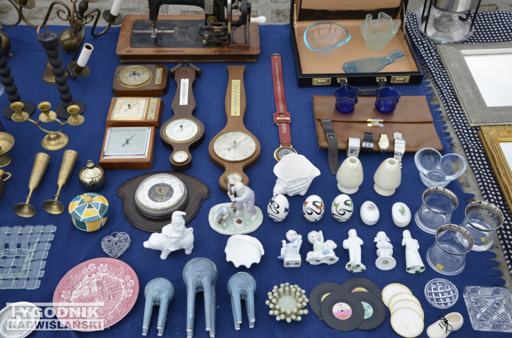 Pchli Targ Tarnobrzeg marzec 2026