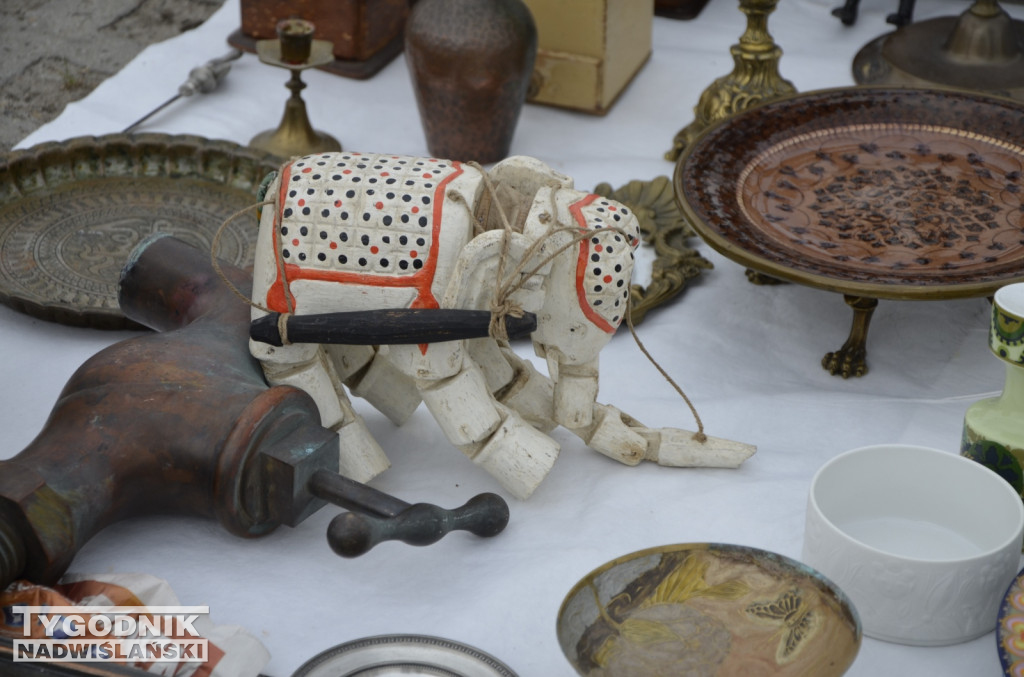 Pchli Targ Tarnobrzeg marzec 2026