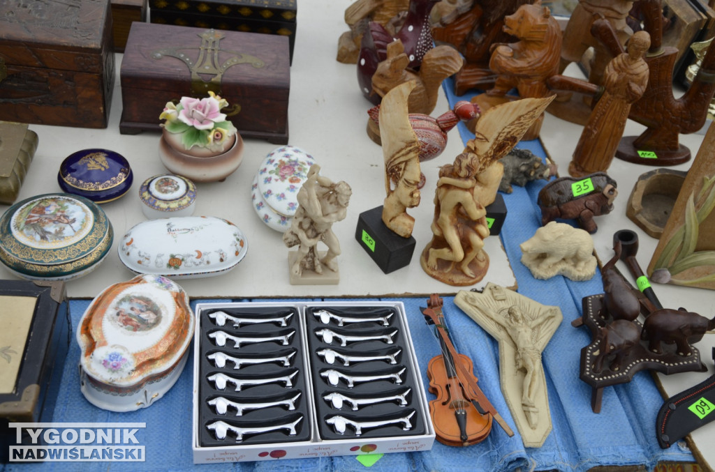 Pchli Targ Tarnobrzeg marzec 2026