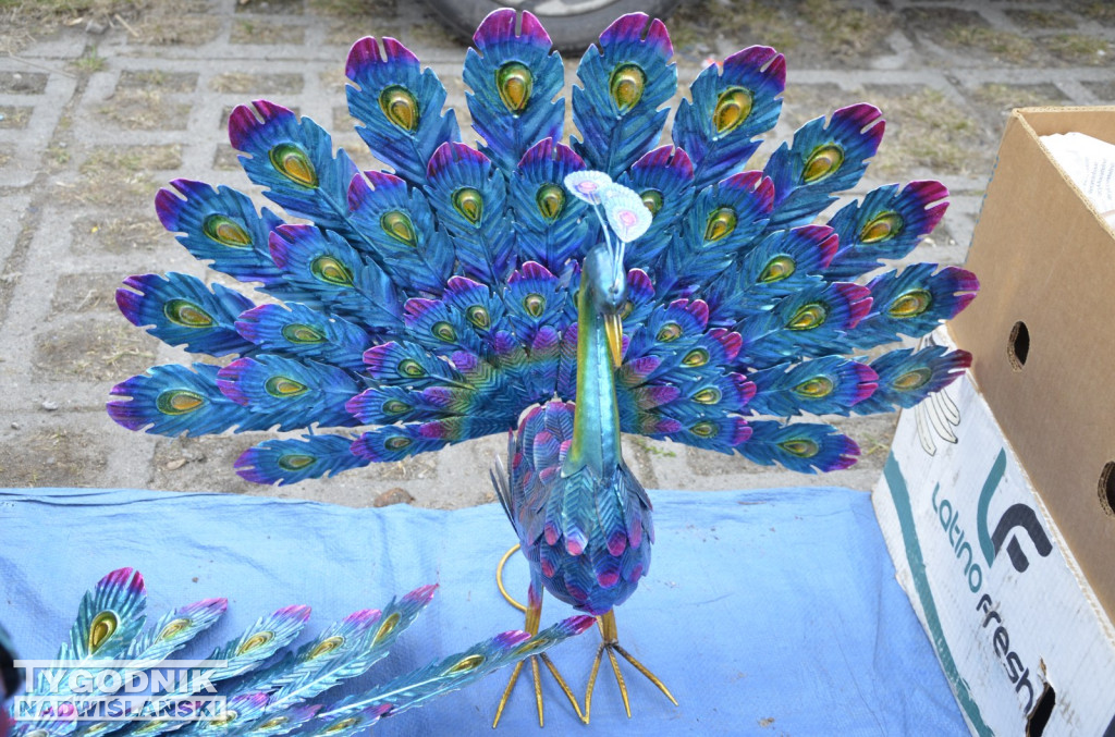 Pchli Targ Tarnobrzeg marzec 2026