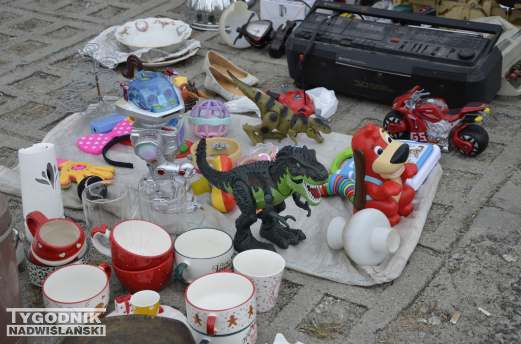 Pchli Targ Tarnobrzeg marzec 2026