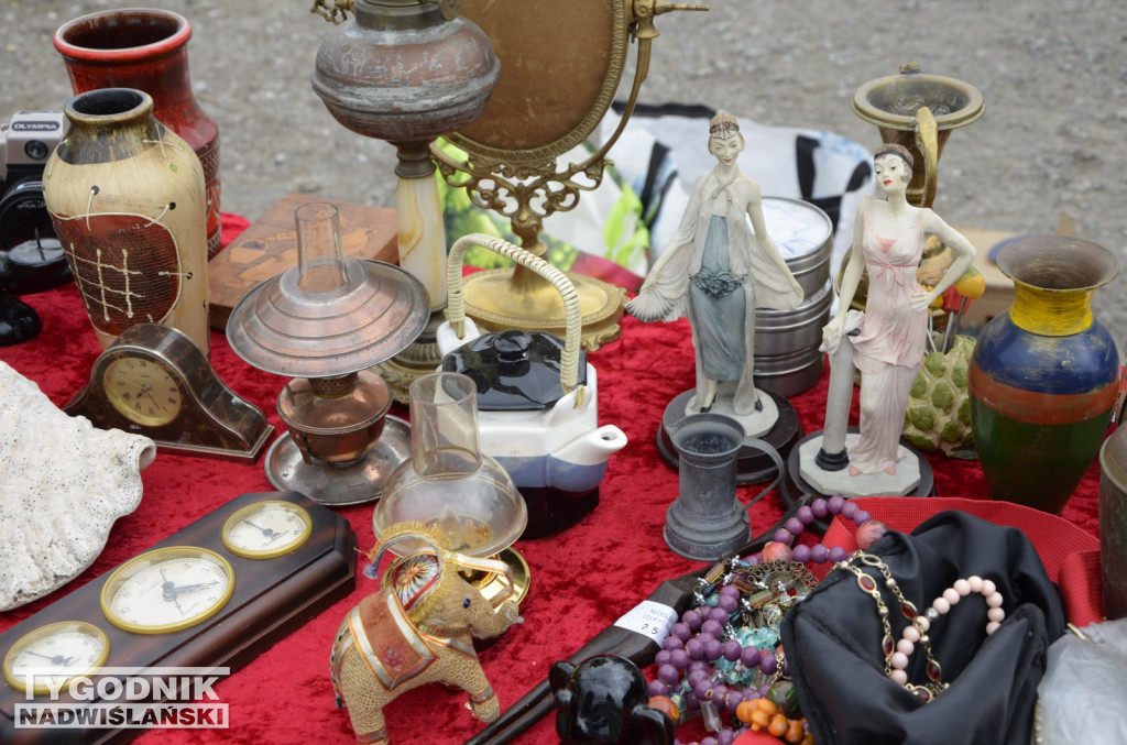 Pchli Targ Tarnobrzeg marzec 2026