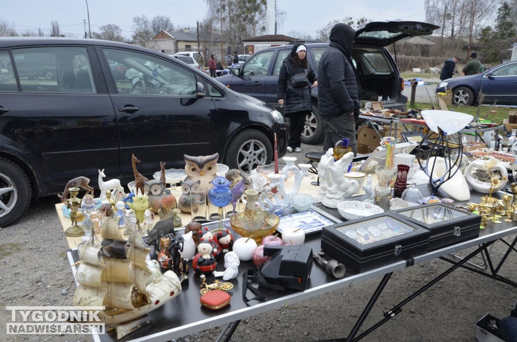 Pchli Targ Tarnobrzeg marzec 2026