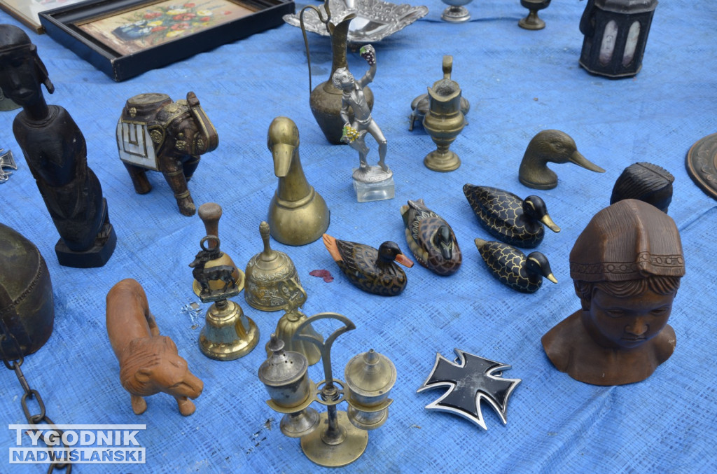 Pchli Targ Tarnobrzeg marzec 2026