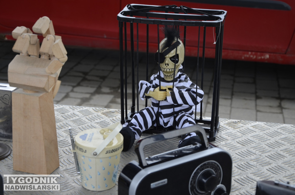 Pchli Targ Tarnobrzeg marzec 2026