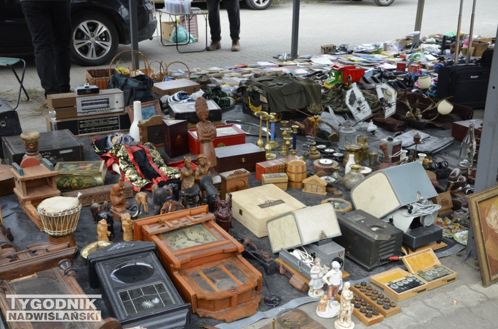 Pchli Targ Tarnobrzeg marzec 2026