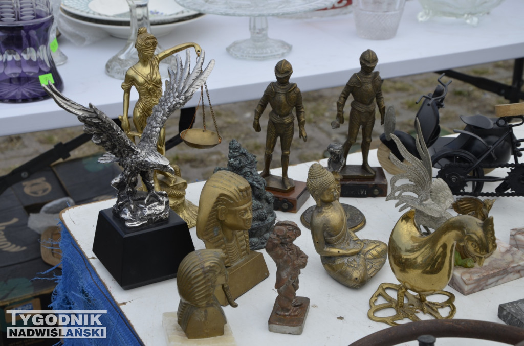 Pchli Targ Tarnobrzeg marzec 2026