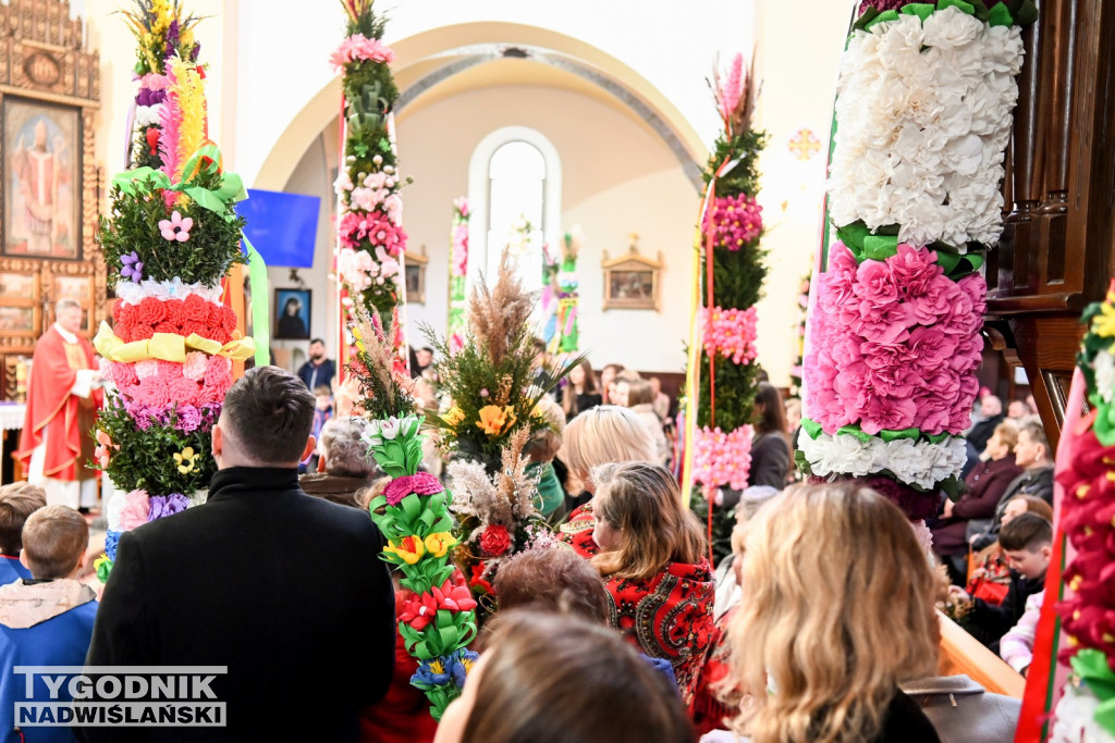 Niedziela Palmowa w Grębowie 2026