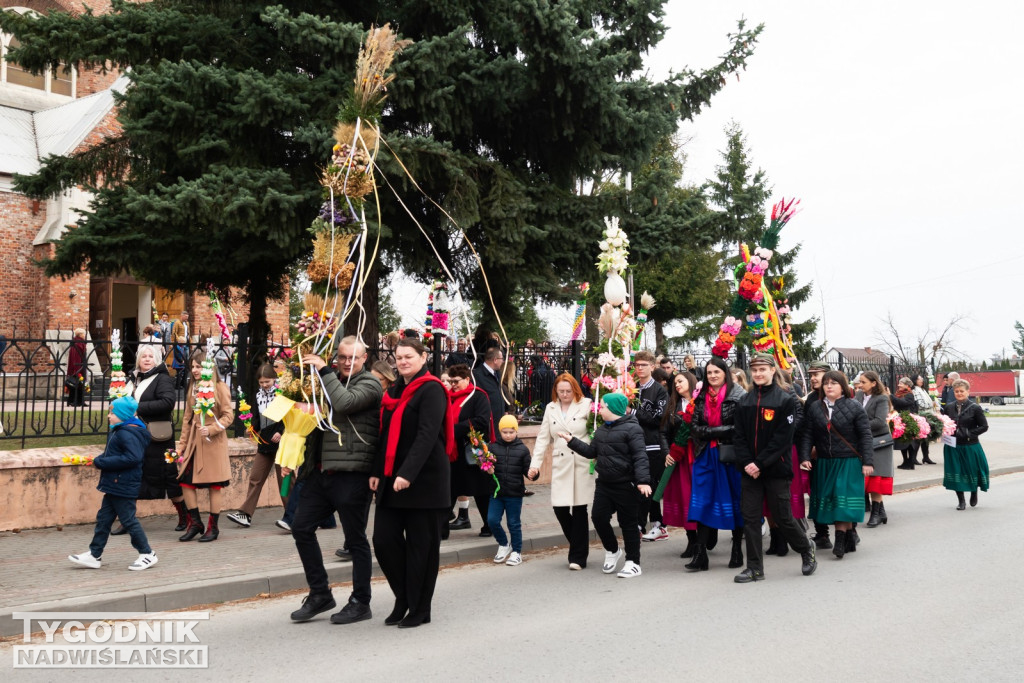 Niedziela Palmowa w Grębowie 2026