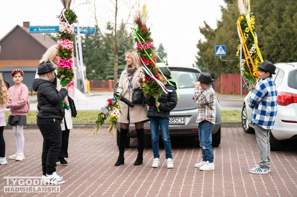 Niedziela Palmowa w Grębowie 2026