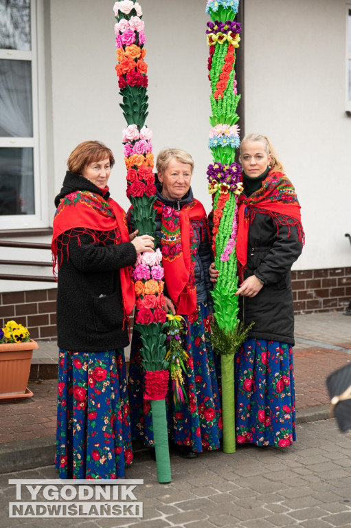 Niedziela Palmowa w Grębowie 2026
