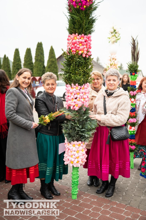 Niedziela Palmowa w Grębowie 2026