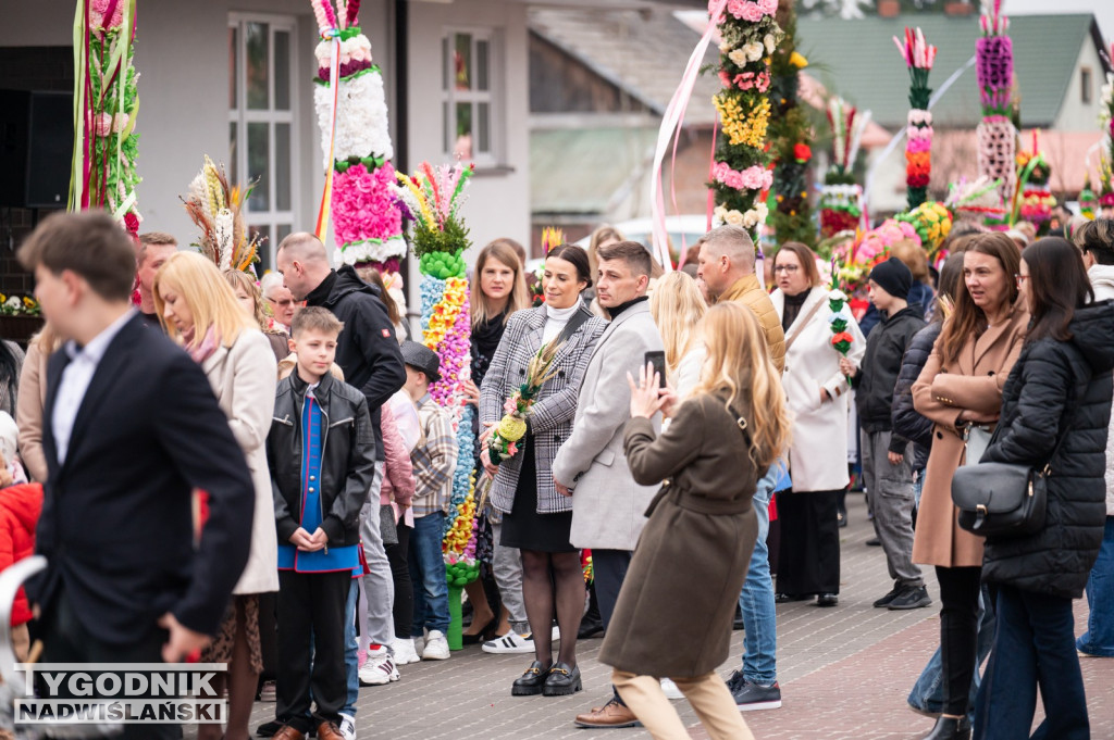 Niedziela Palmowa w Grębowie 2026