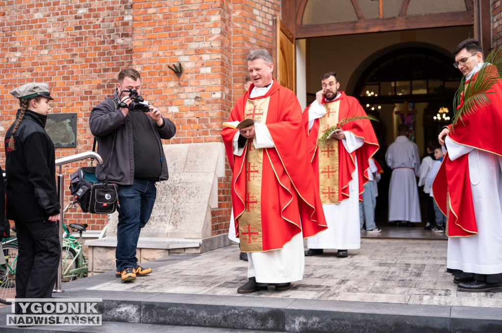 Niedziela Palmowa w Grębowie 2026