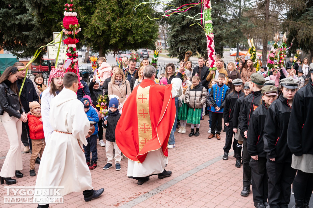 Niedziela Palmowa w Grębowie 2026