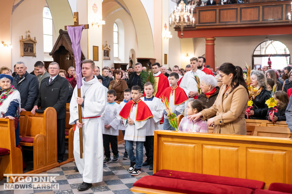 Niedziela Palmowa w Grębowie 2026