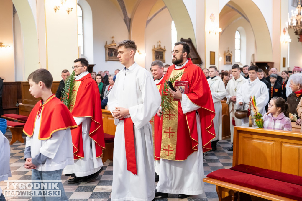 Niedziela Palmowa w Grębowie 2026