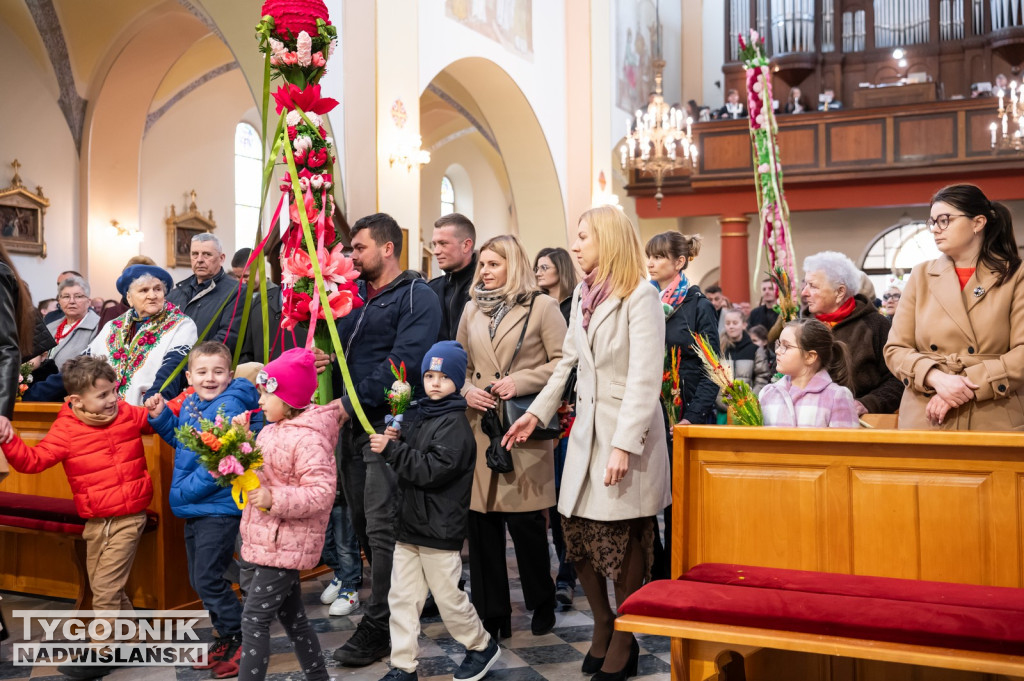 Niedziela Palmowa w Grębowie 2026