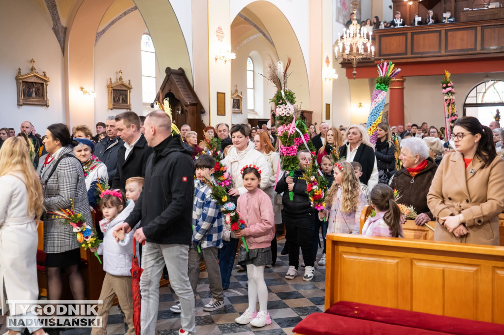 Niedziela Palmowa w Grębowie 2026