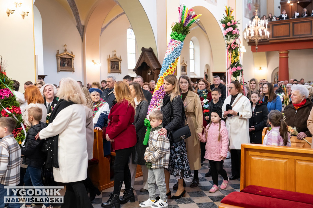 Niedziela Palmowa w Grębowie 2026