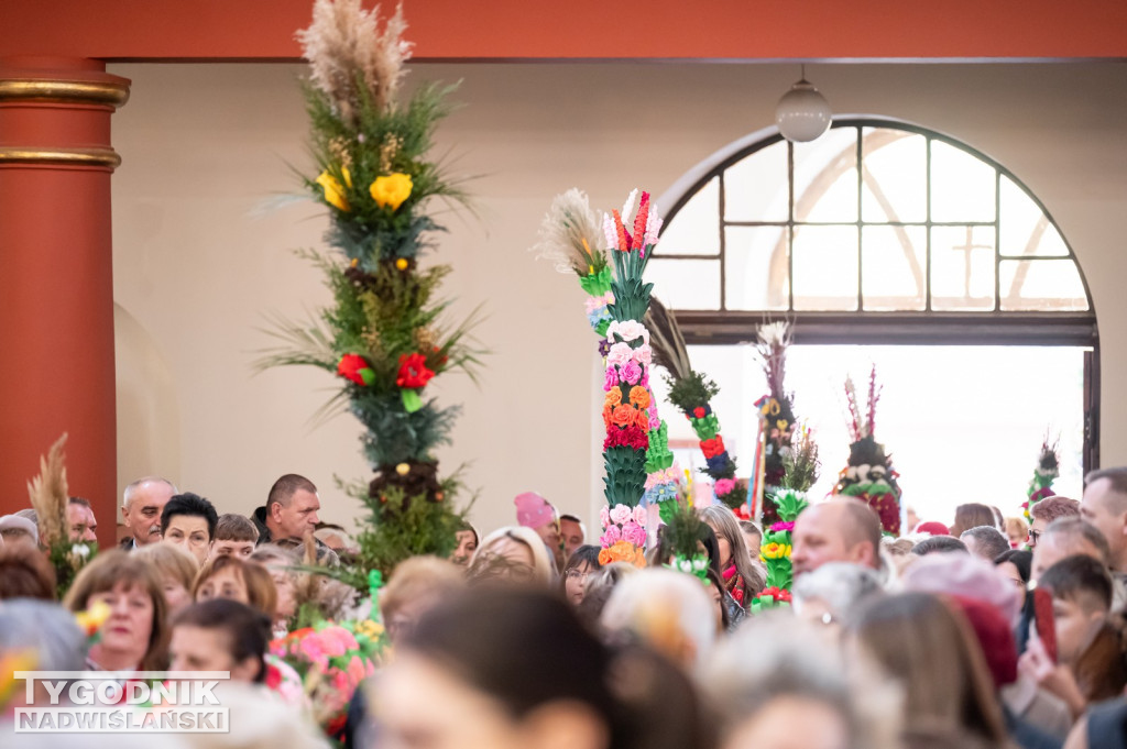 Niedziela Palmowa w Grębowie 2026