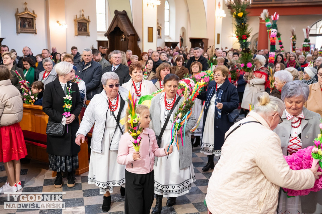 Niedziela Palmowa w Grębowie 2026