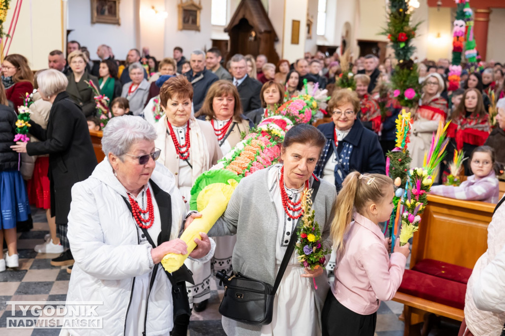 Niedziela Palmowa w Grębowie 2026