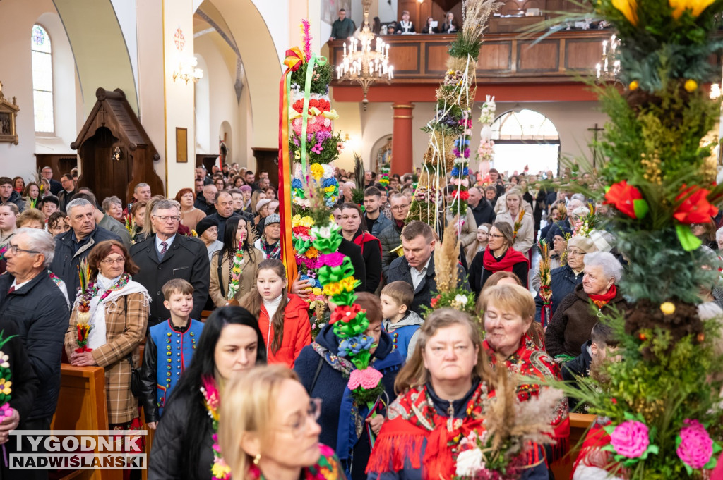 Niedziela Palmowa w Grębowie 2026