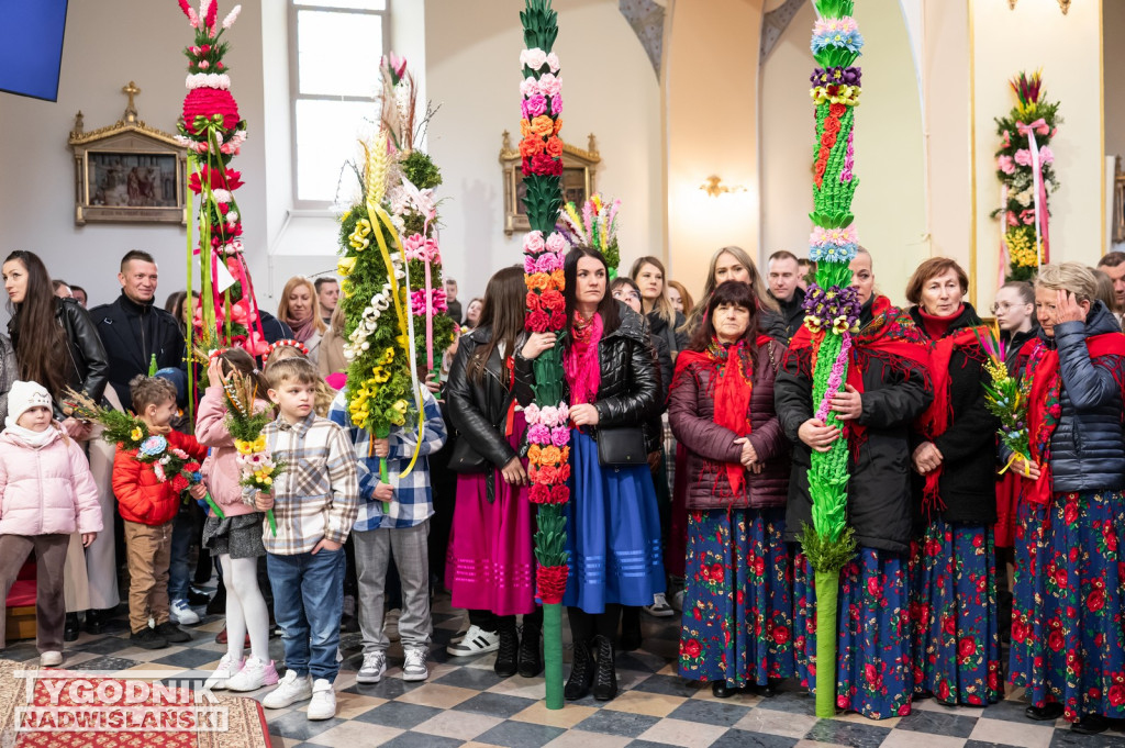 Niedziela Palmowa w Grębowie 2026