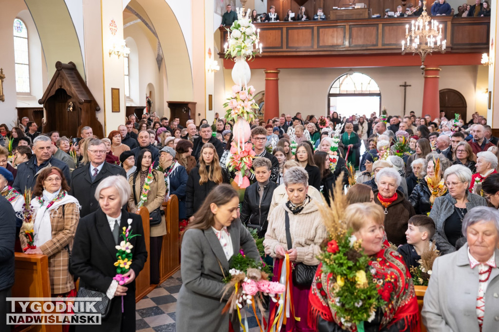 Niedziela Palmowa w Grębowie 2026