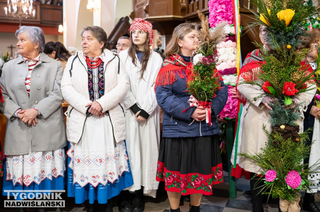 Niedziela Palmowa w Grębowie 2026