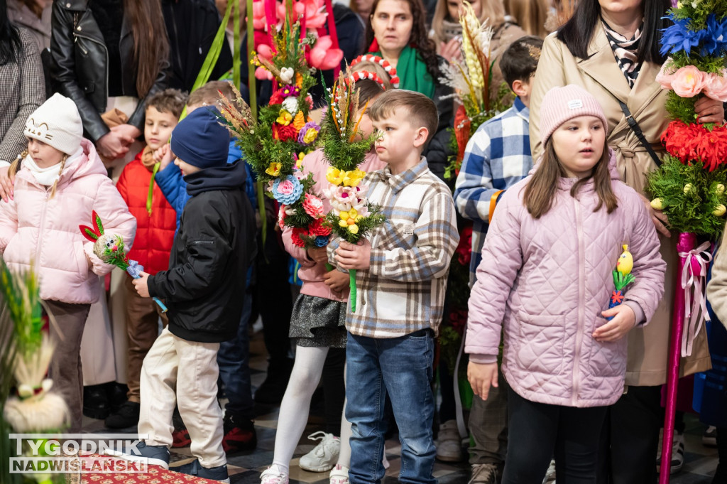 Niedziela Palmowa w Grębowie 2026