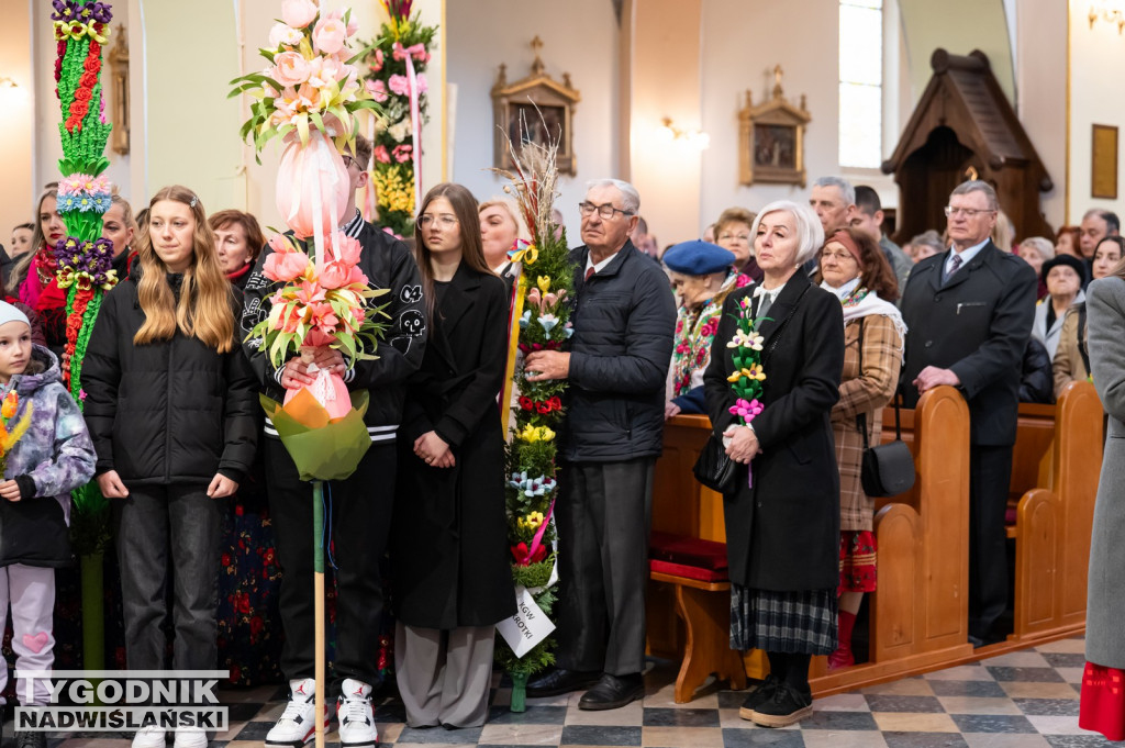 Niedziela Palmowa w Grębowie 2026