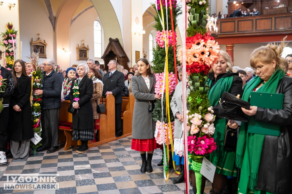 Niedziela Palmowa w Grębowie 2026