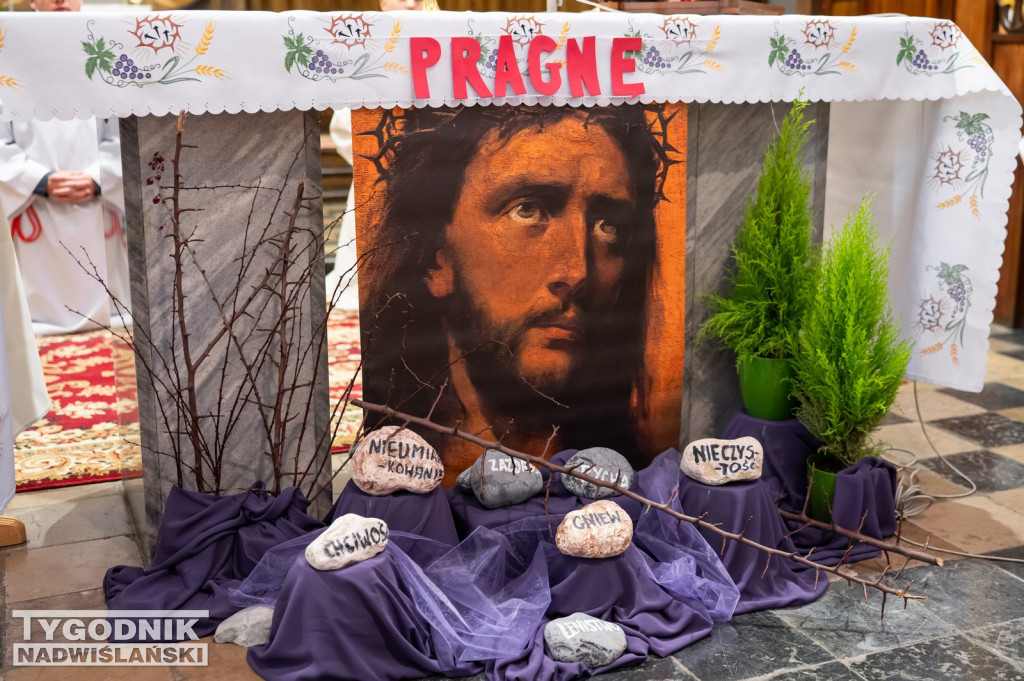 Niedziela Palmowa w Grębowie 2026