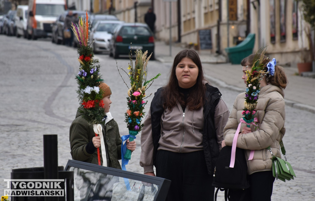Niedziela Palmowa w Sandomierzu