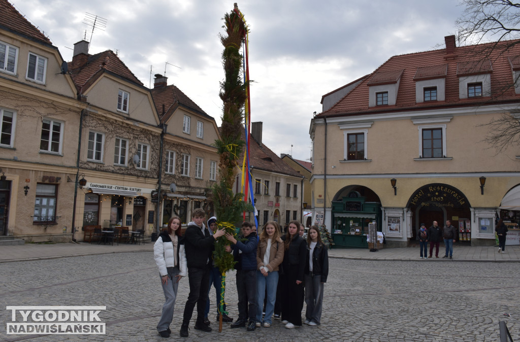 Niedziela Palmowa w Sandomierzu
