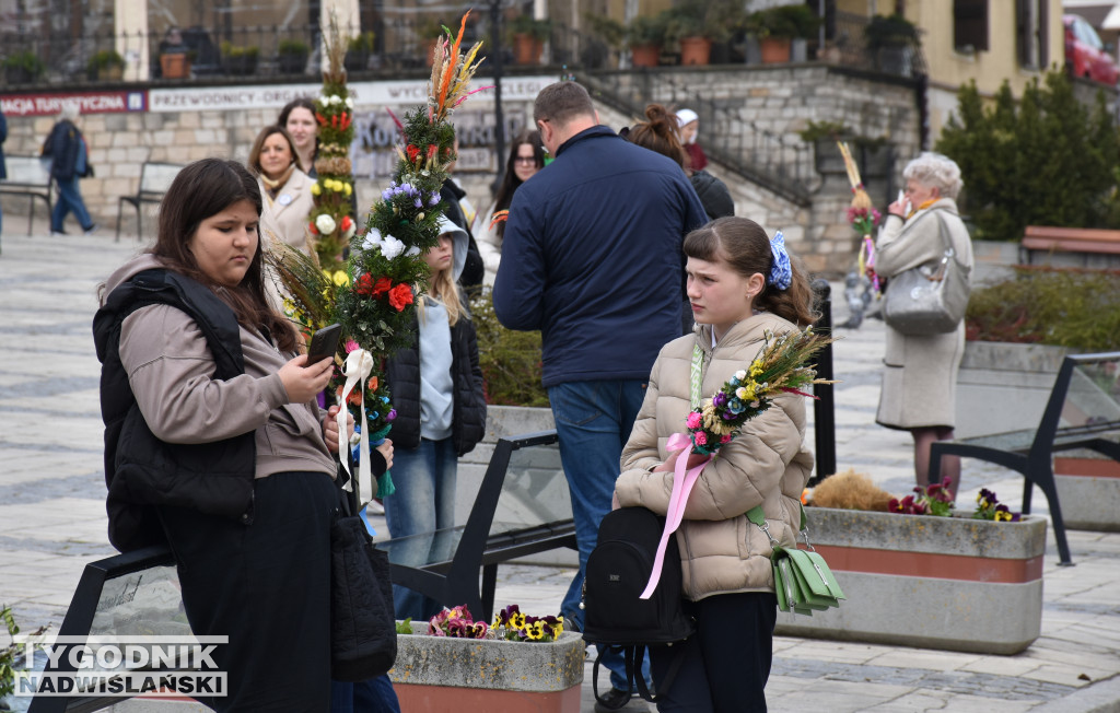 Niedziela Palmowa w Sandomierzu