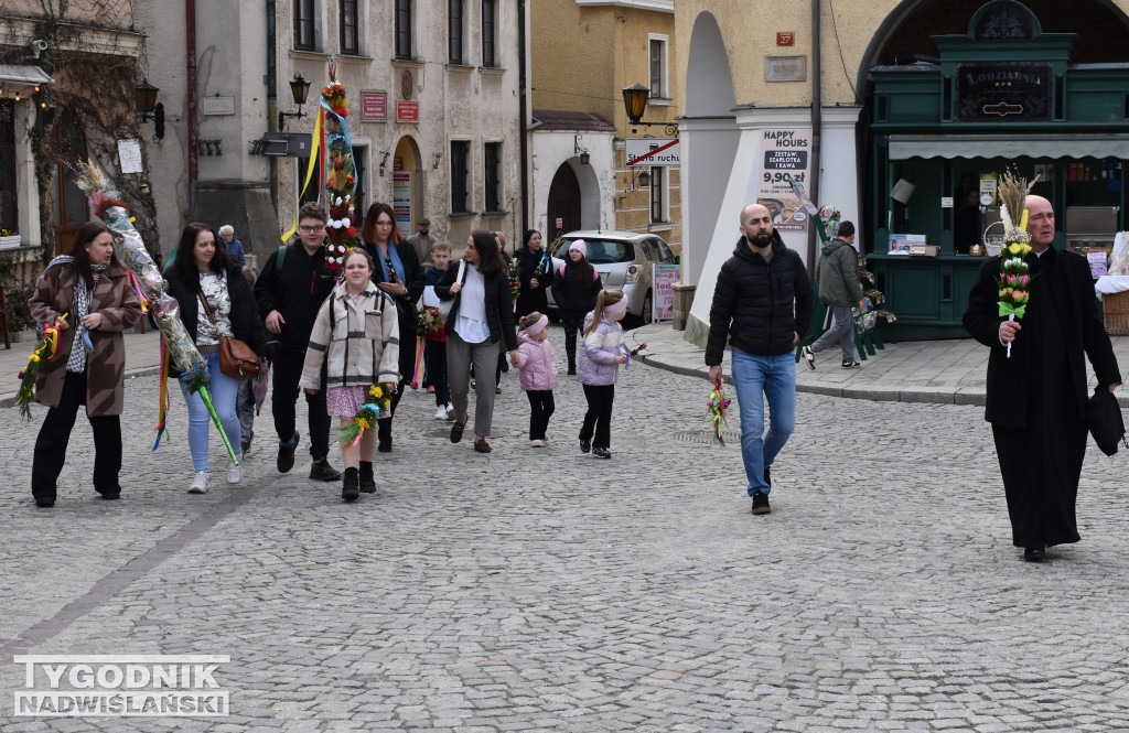 Niedziela Palmowa w Sandomierzu